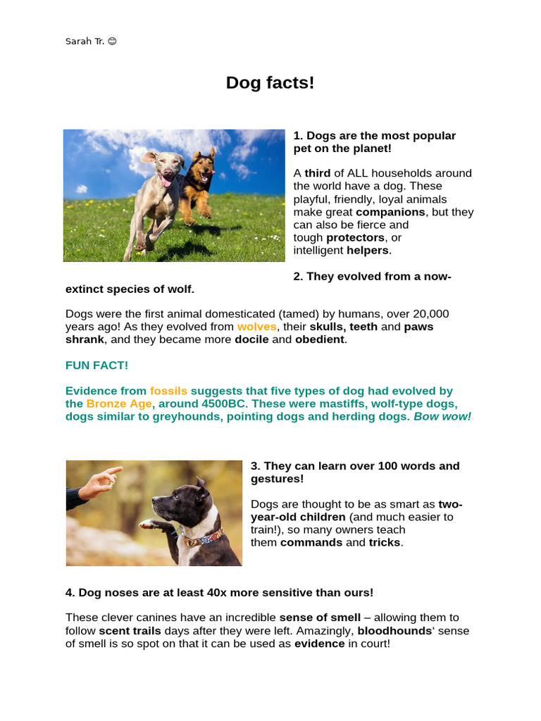 Dog facts | PDF | Dogs | Zoology