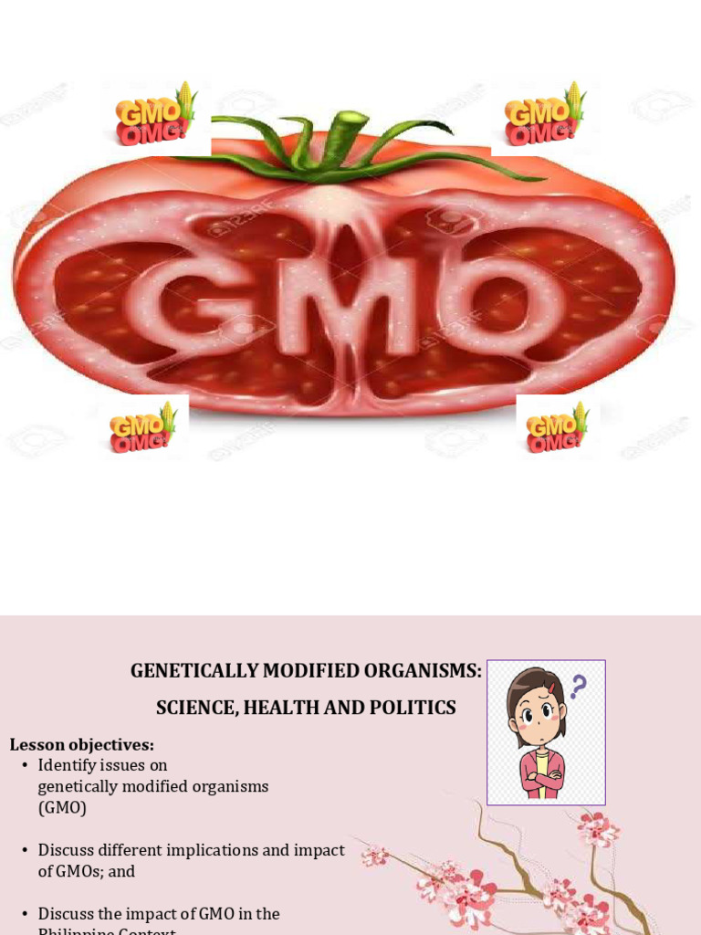Gmo | PDF | Genetically Modified Organism | Genetic Engineering