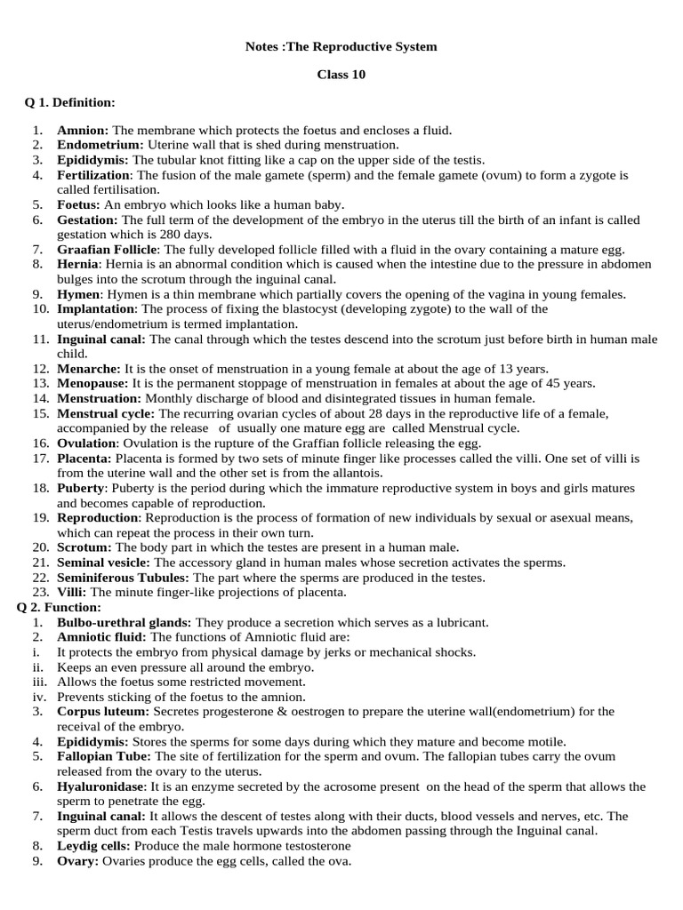 Class 10WorksheetReproductive System | PDF | Menstrual Cycle | Testicle