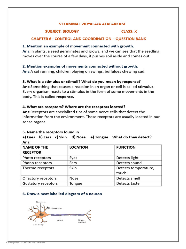 Biology Control and Coordination | PDF | Nervous System | Neuron