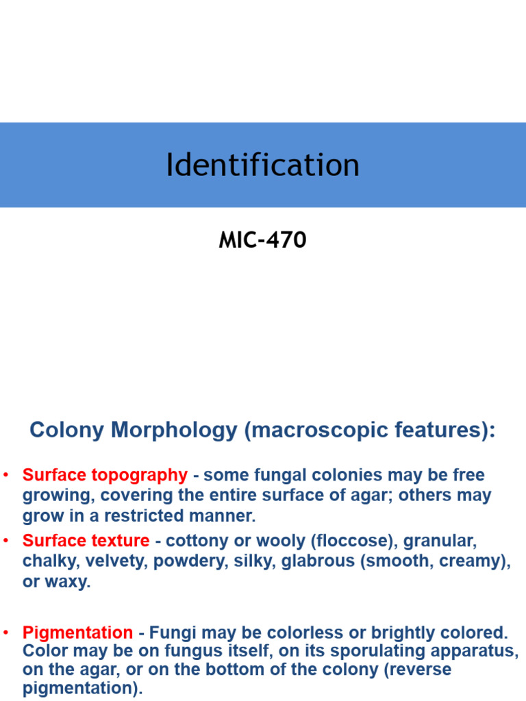 identifikasi jamur mikroskopis | PDF | Fungus | Biology