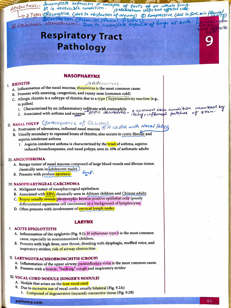 Respiratory Tract Pathology - Pathoma | PDF | Pneumonia | Medical ...