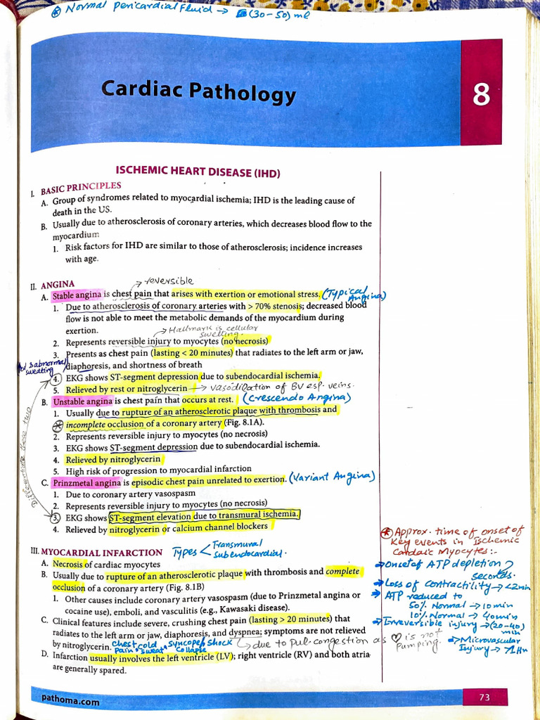 Cardiac Pathology - Pathoma | PDF | Heart Failure | Cardiac Muscle
