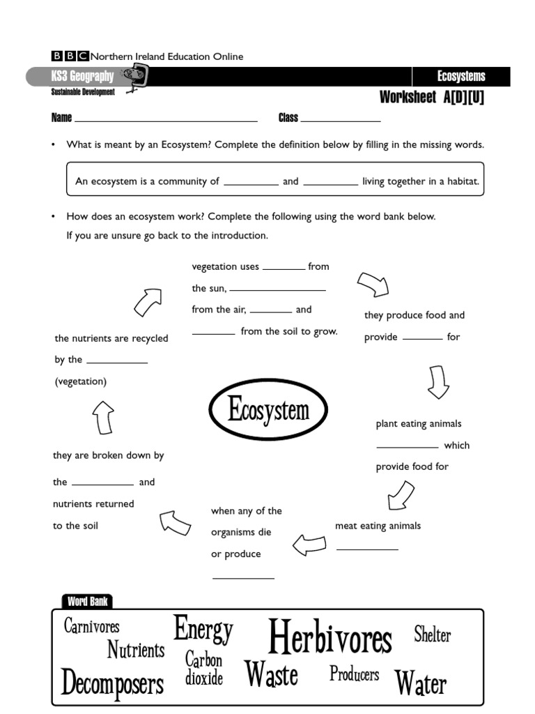 worksheet Ecosystems Worksheets ecosystems worksheets ecosystem soil