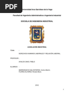 Derechos Humanos Laborales