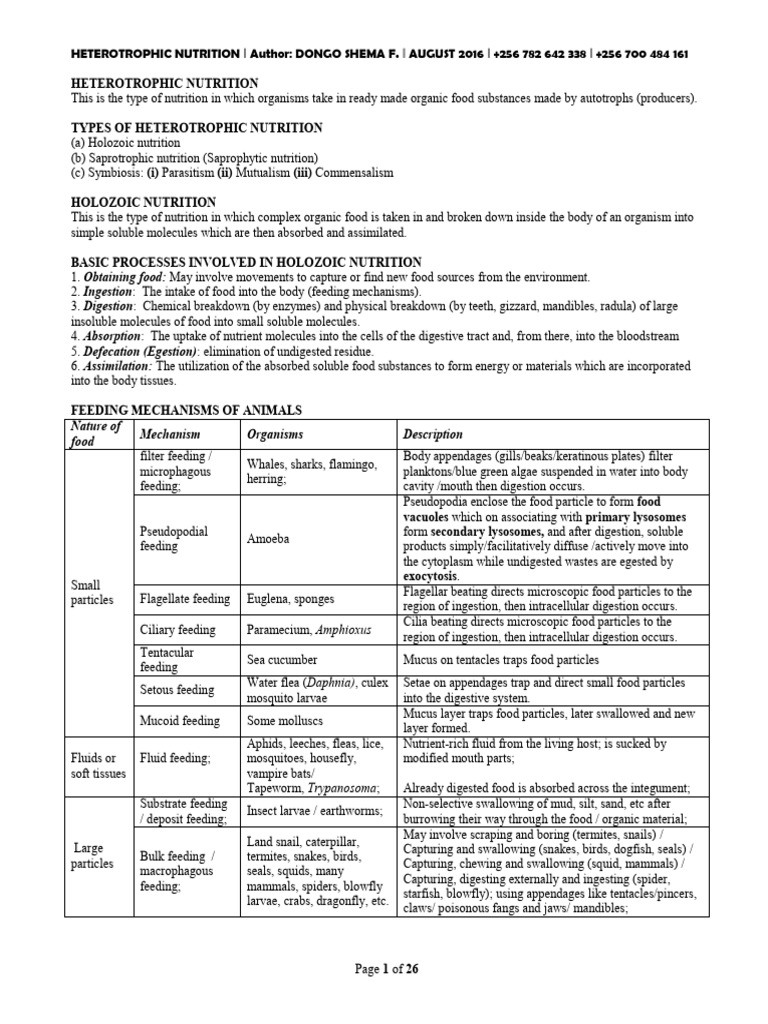 UACE Biology Notes Nutrition by Dongo Shema | PDF | Stomach | Digestion