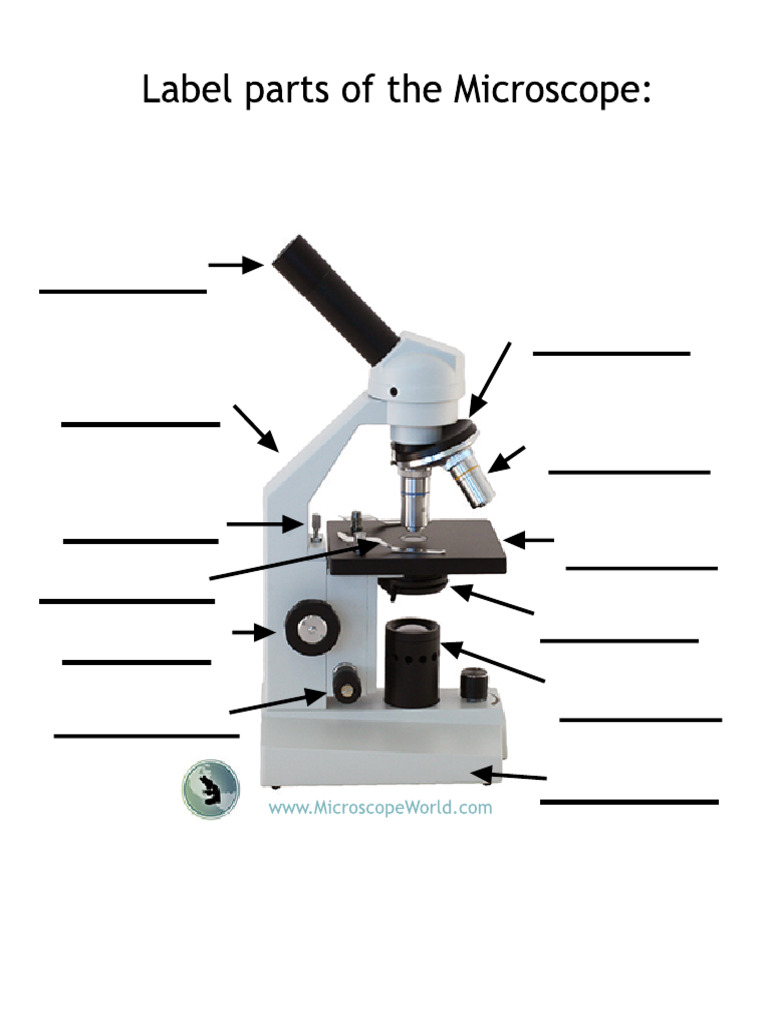 Label Microscope | PDF
