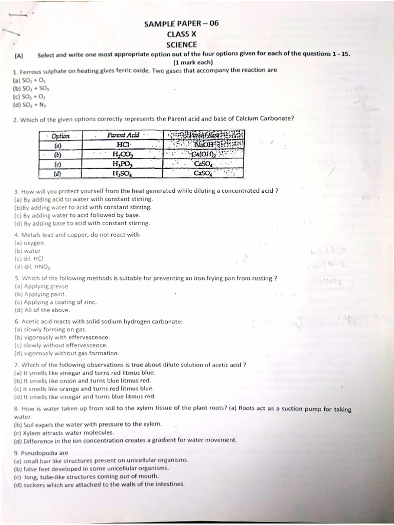 Science Sample Paper | PDF