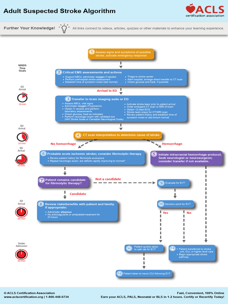 ACLS Adult Suspected Stroke Algorithm | PDF | Stroke | Neurology