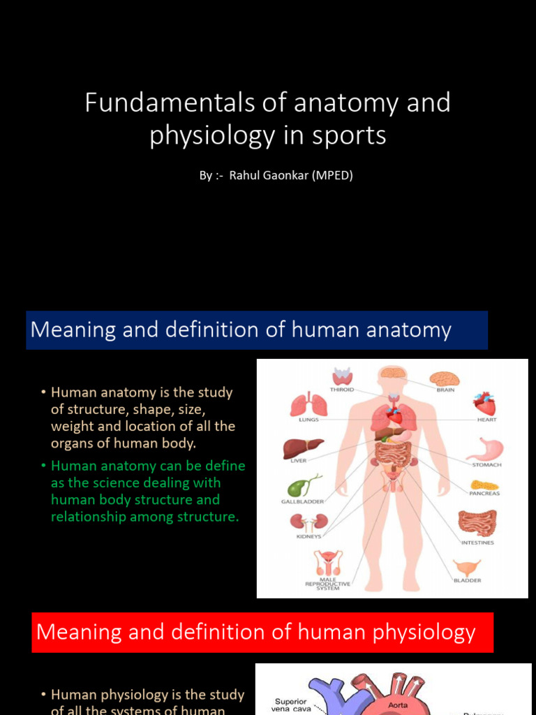 CBSE Class 11 Chapter 7 Fundamentals of Anatomy and Physiology in ...
