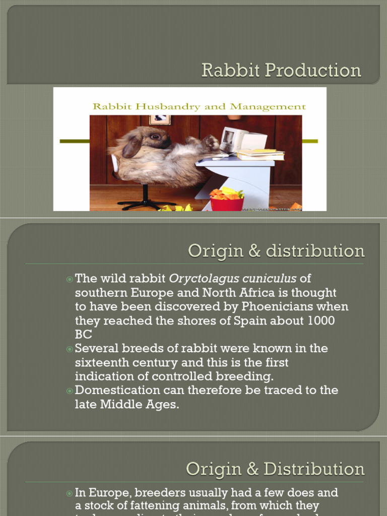 Rabbit Production (MILAT) | PDF | Thermoregulation | Rabbit