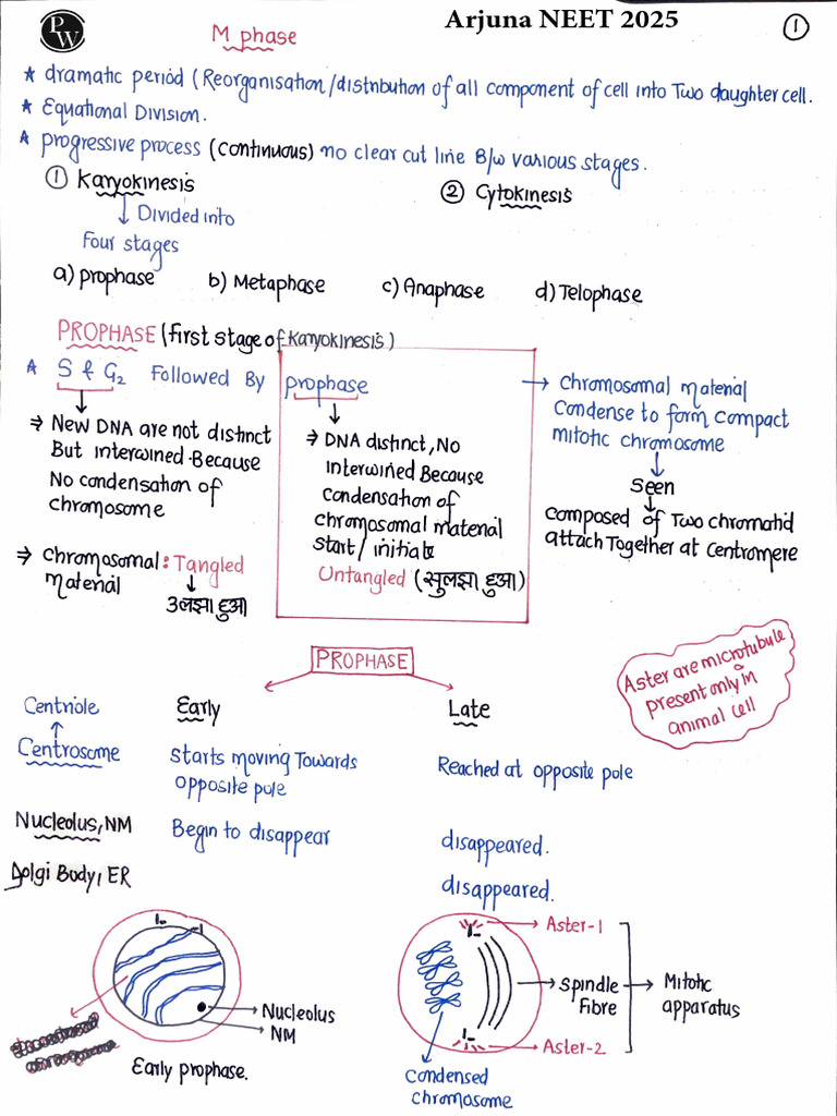 Cell Cycle and Cell Division 03 - Handwritten Notes - Arjuna NEET 2025 ...