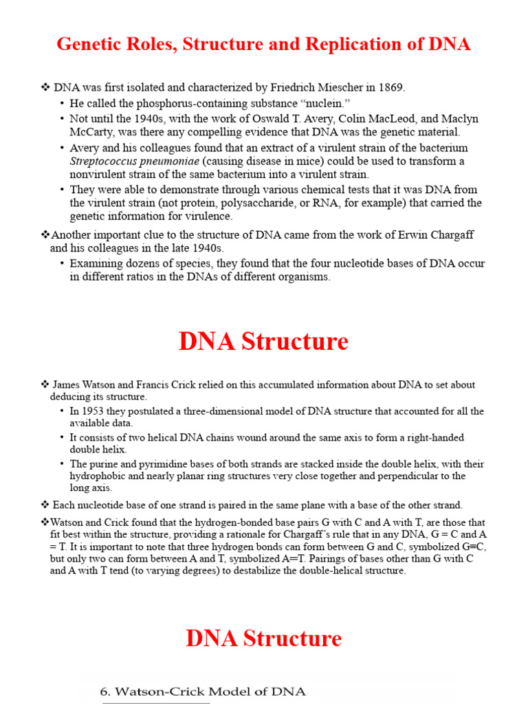 DNA Replication and Gene Expression | PDF | Translation (Biology) | Rna