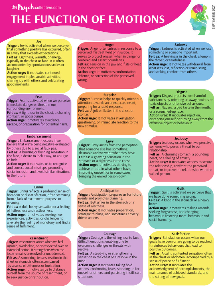 EMOTIONS the Function of Emotions (1) 1728933537 | PDF | Feeling | Emotions