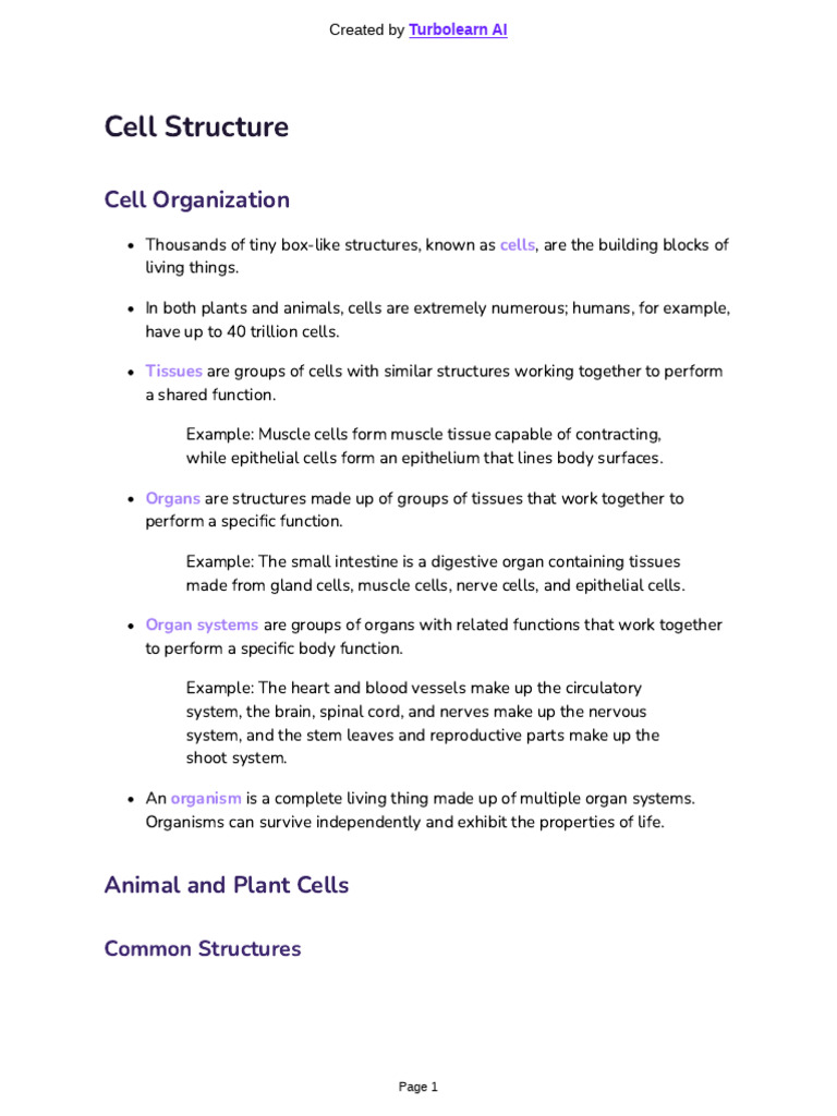 Organisation of the Organism | PDF | Cell (Biology) | Tissue (Biology)