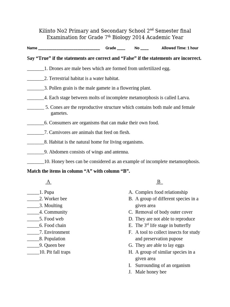 Final Examination For G7 | PDF | Bees | Flowers