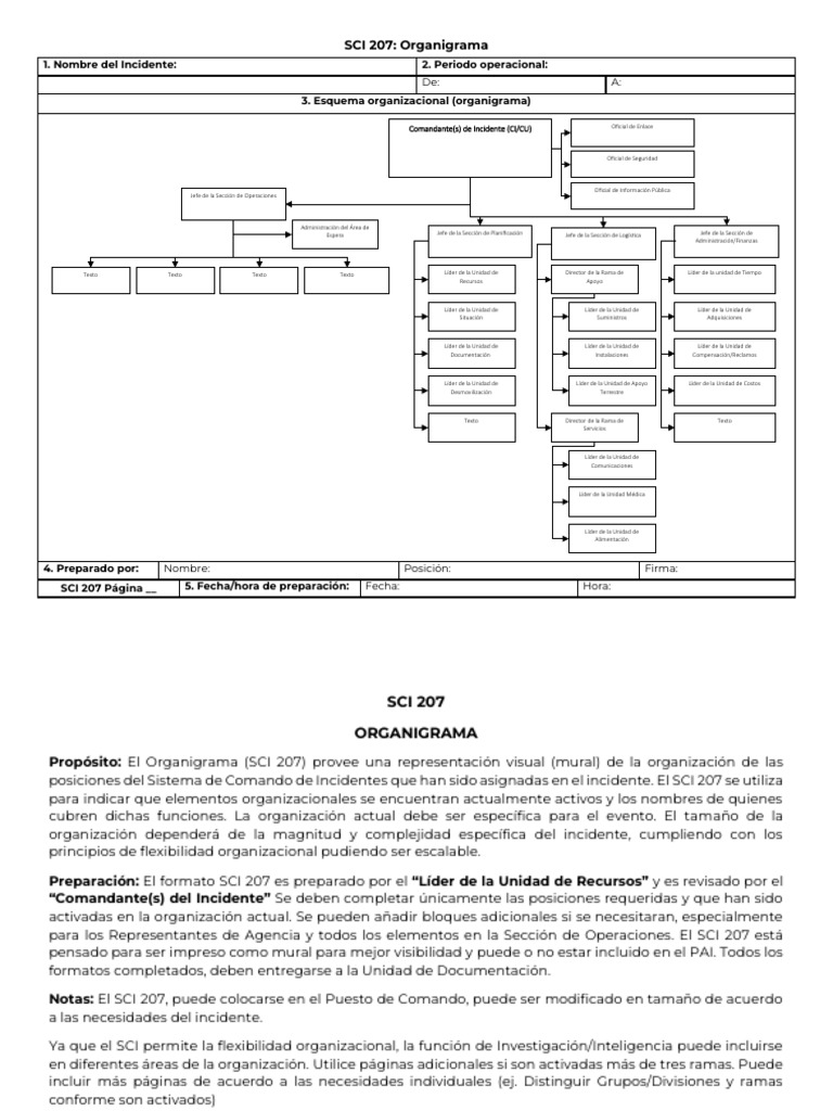 207 SCI Instructivo Con Formato 207 | PDF