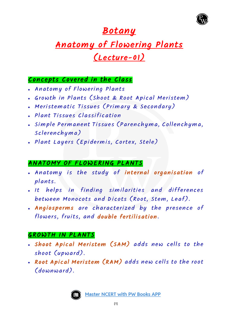 Anatomy of Flowering Plants 01 Summary Notes | PDF | Tissue (Biology ...