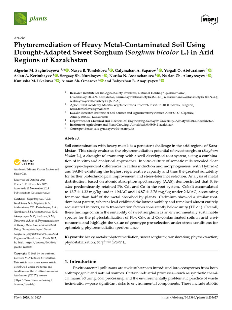 Phytoremediation of Heavy Metal-Contaminated Soil | PDF | Lead | Root