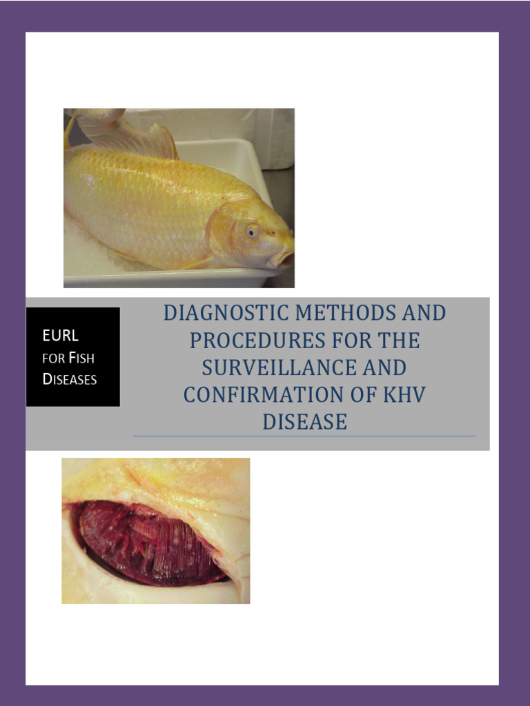 10º EURL For Fish Diseases. Diagnostic Methods and Procedures For The ...