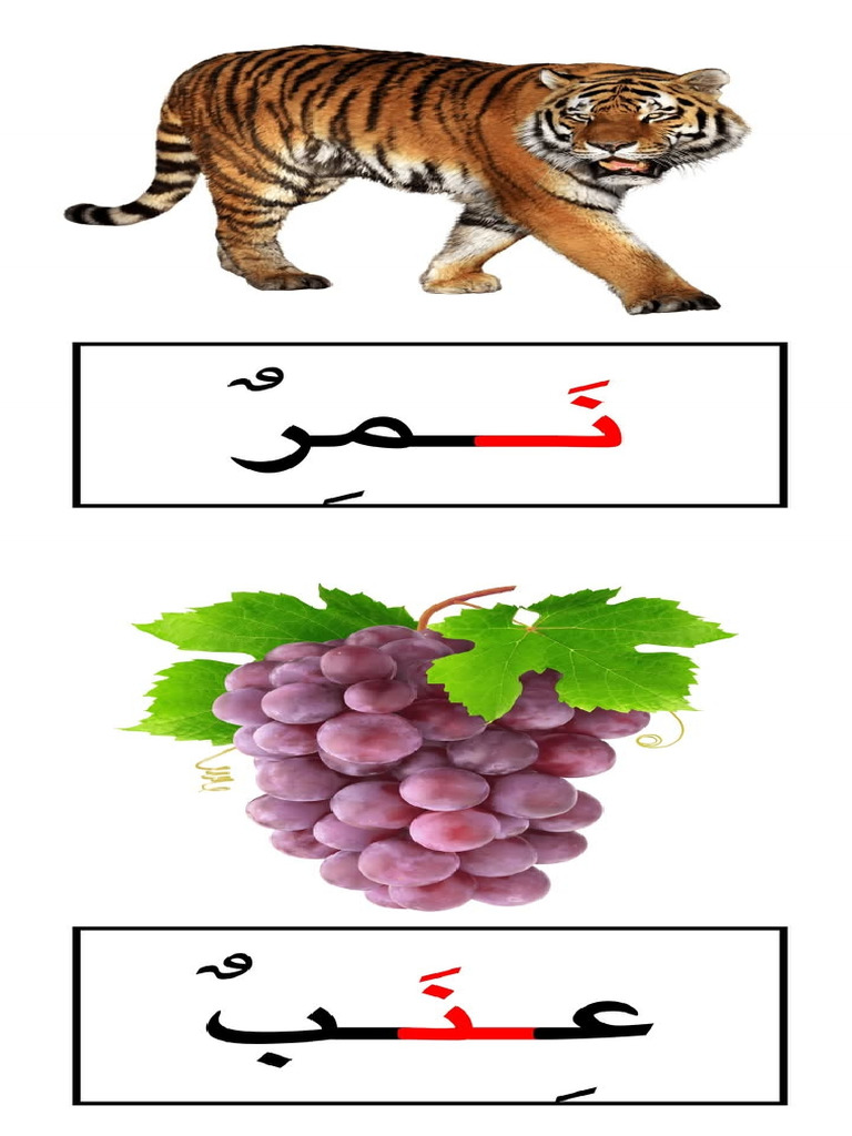 ن | PDF