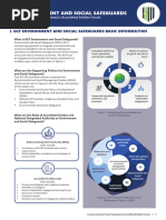 IFC Environmental & Social Categorization Guide | PDF | International ...