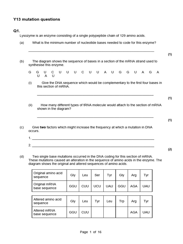 2025 Mutations Exam Style Questions | PDF | Messenger Rna | Amino Acid