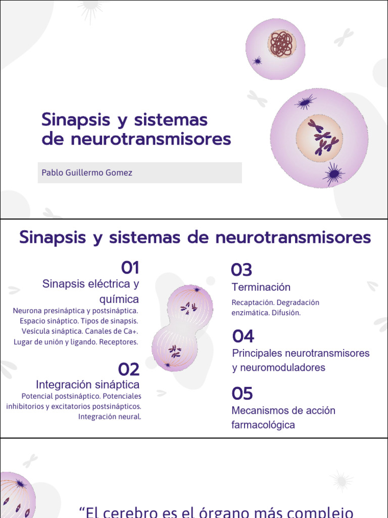 Biologia 07 | PDF | Sinapsis | Neurotransmisor