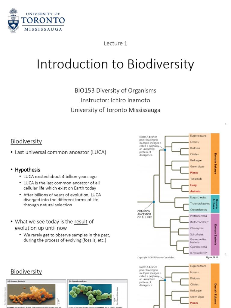 BIO153 Lecture 1 | PDF | Evolution | Microbiology