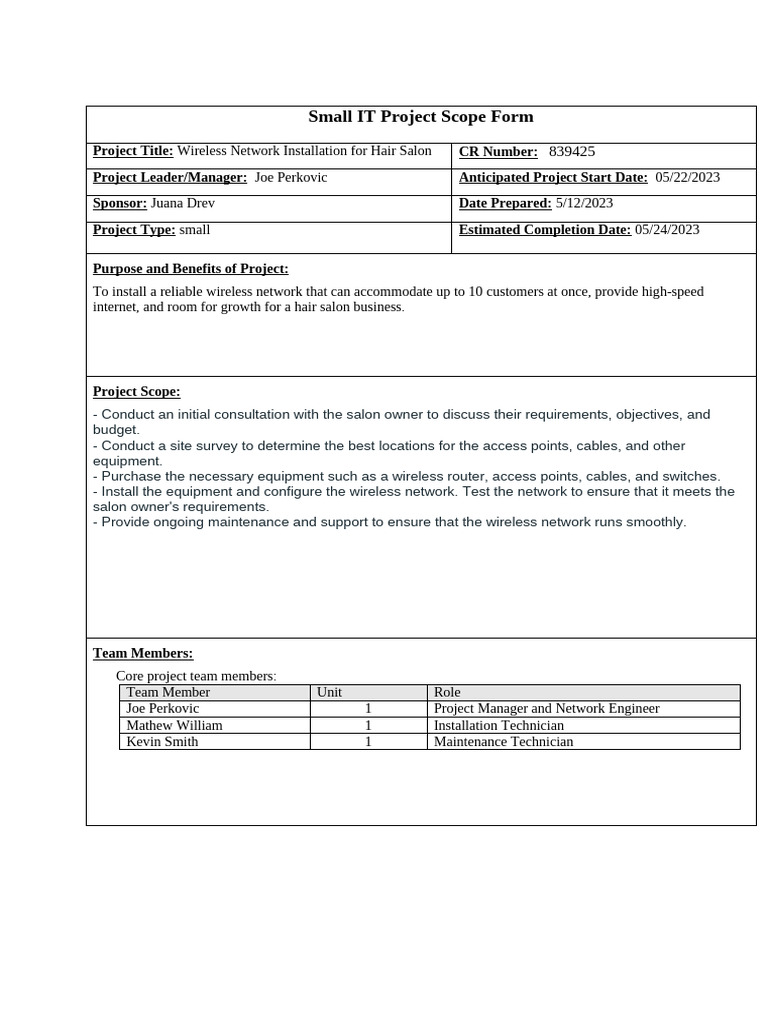 Copia de Mini-Project 8_ Small IT Project | PDF