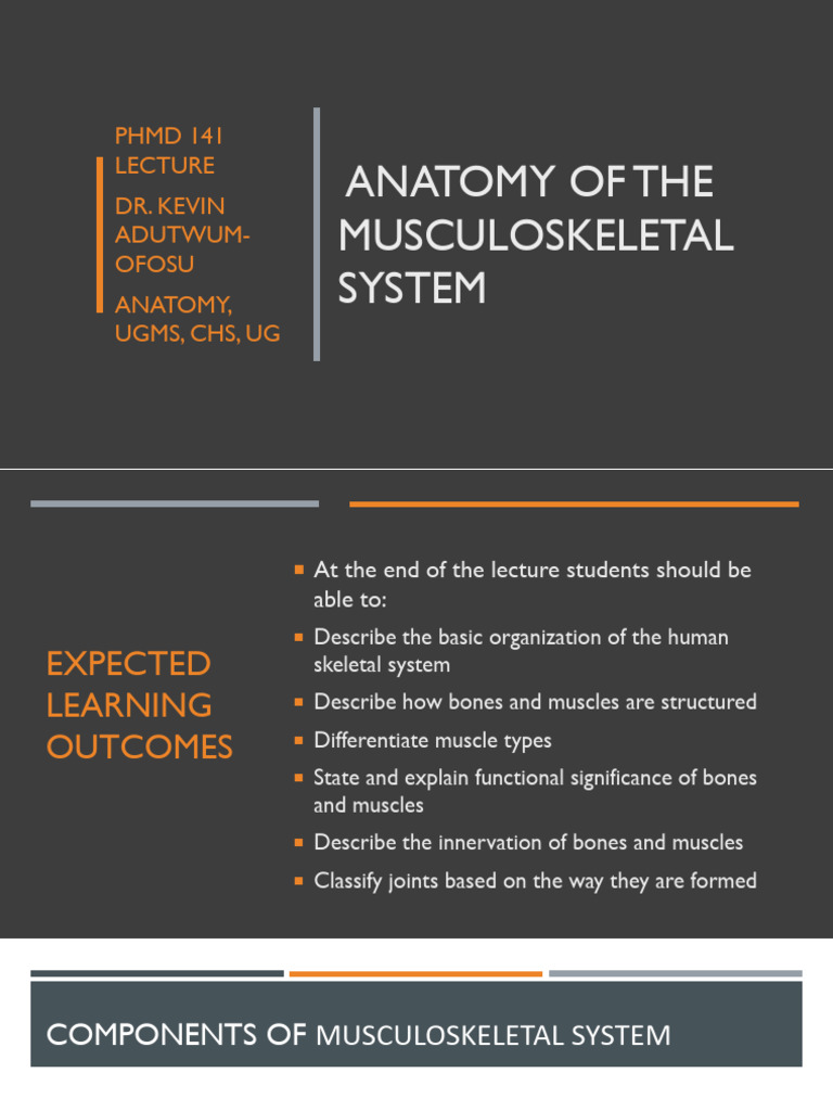 Anatomy of Musculoskeletal System | PDF | Bone | Skeletal Muscle