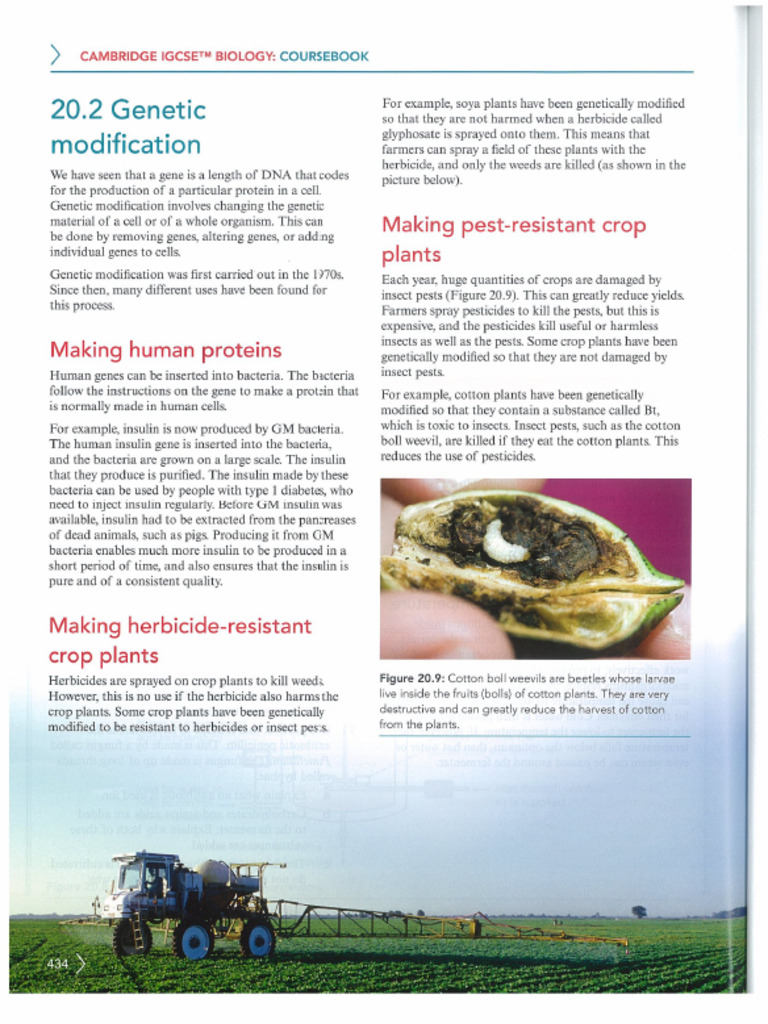 Bio | PDF