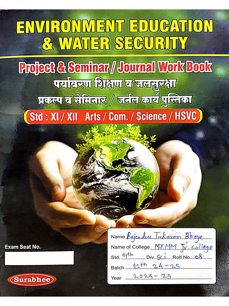 11th EVS Project | PDF