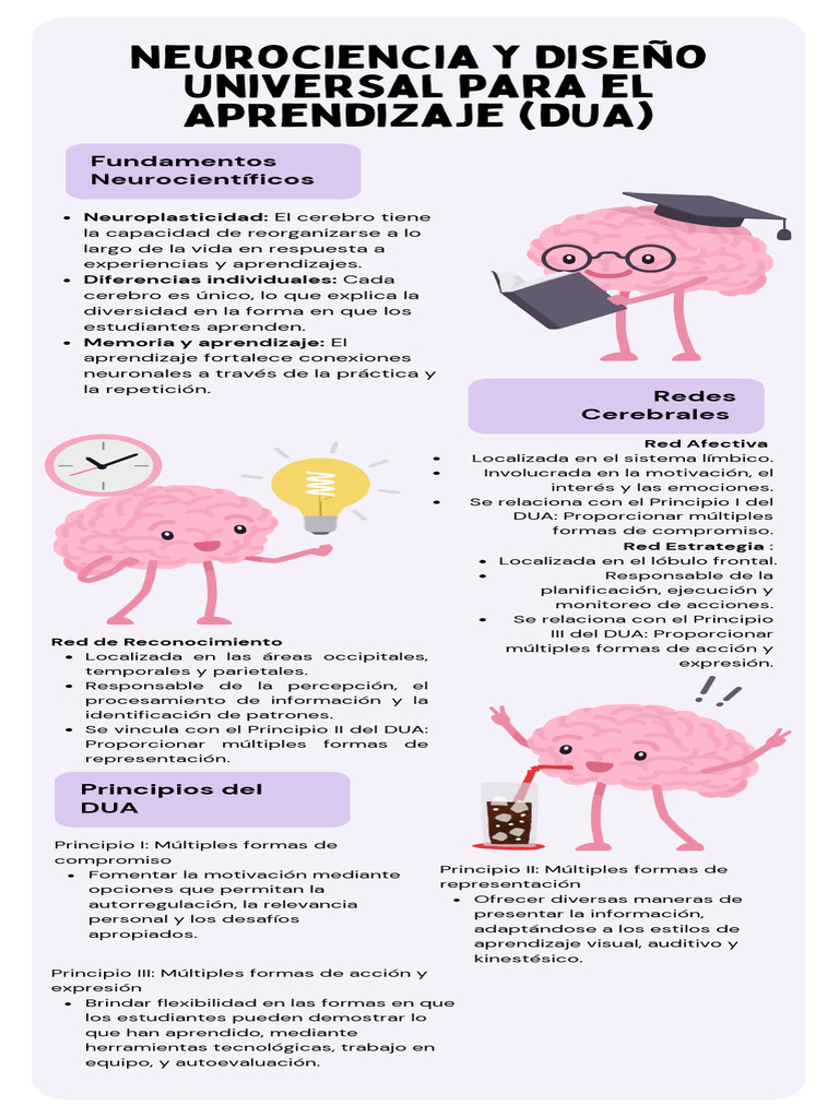 Neurociencia y Diseño Universal para El Aprendizaje (DUA) | PDF ...