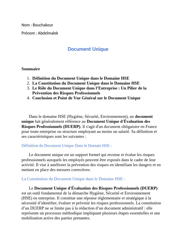 Document Unique | PDF | Gestion des risques | Évaluation des risques