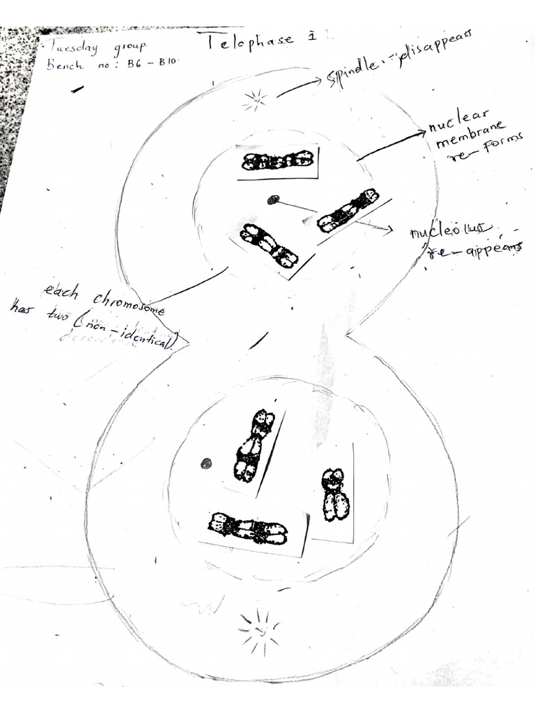 M 2 | PDF
