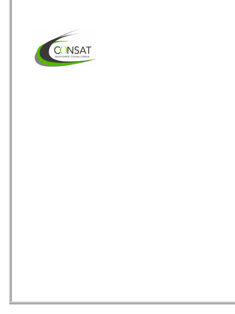 Reglamento Interno Profesional CONSAT | PDF | Auditoría | Préstamos