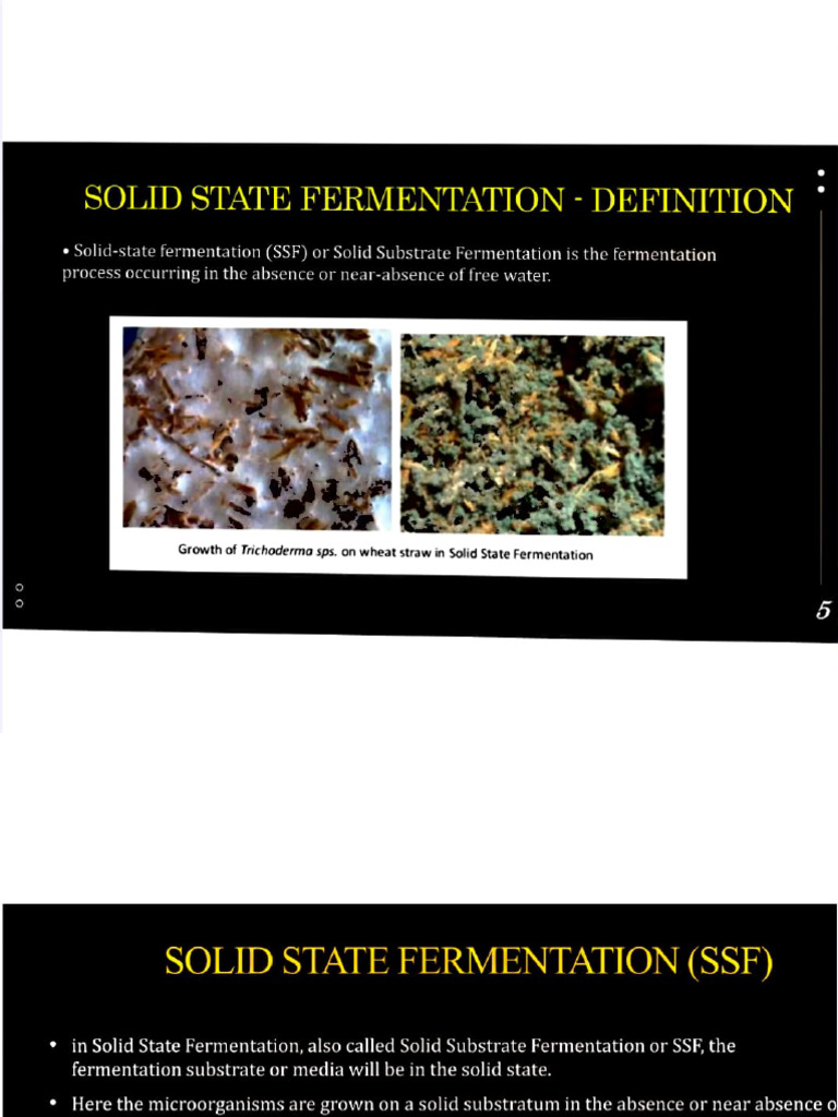 Solid State Fermentation | PDF