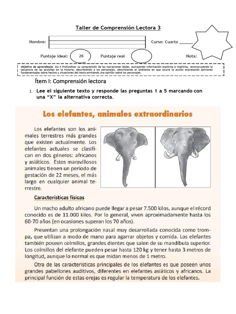 Taller 3 - Comprension Lectora | PDF | Hombre araña | Comprensión lectora