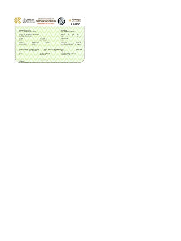 Tarjeta de Circulacion MIGUEL PROMOTOR | PDF