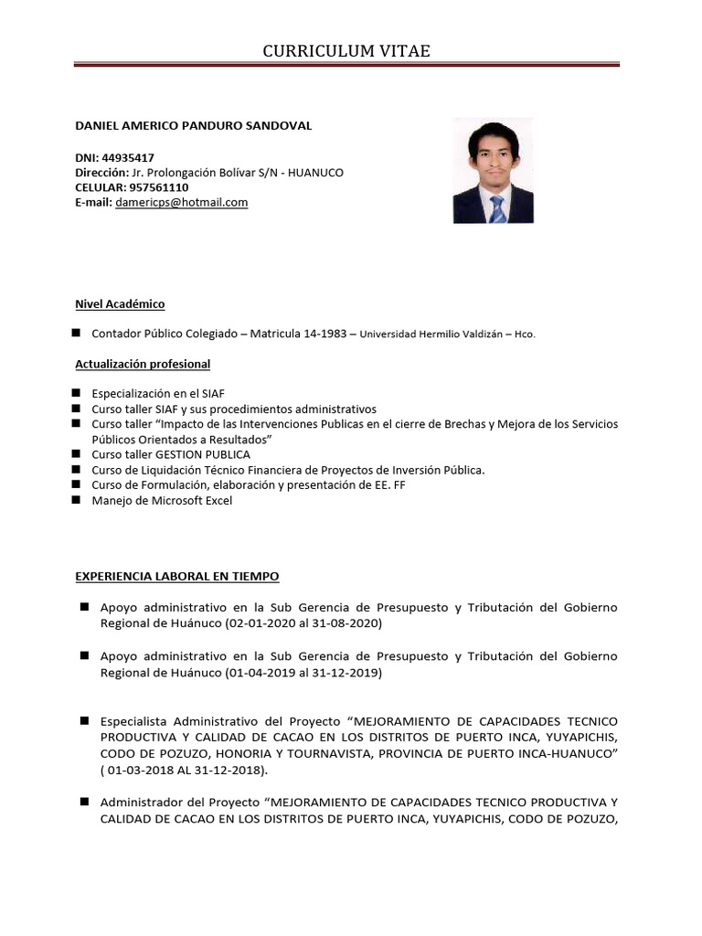 CV - Daniel Americo | PDF | Contabilidad | Servicios financieros
