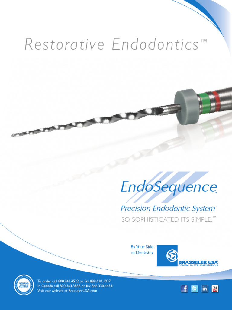 B 3958 EndoSequence-Brochure | PDF | Syringe