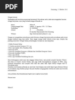 Cv Dan Surat Lamaran Pdf