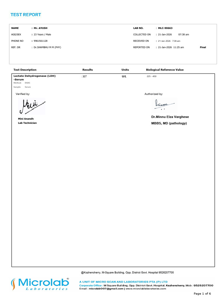 AYUSH 90663 Reports | PDF | White Blood Cell | Clinical Pathology