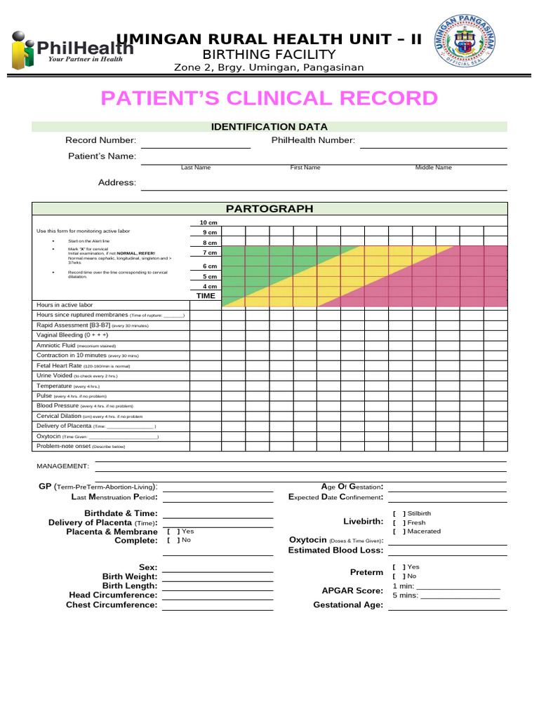 Patient's Clinical Chart Compilation | PDF | Childbirth | Obstetrics