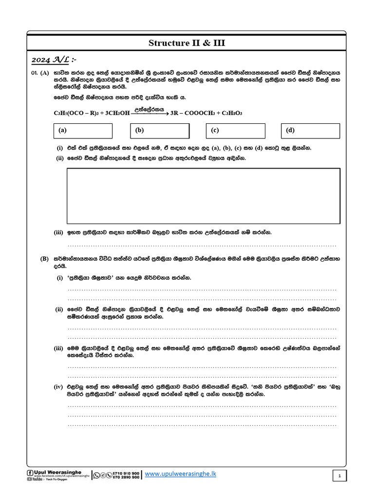 Day Camp Paper 2025 3 Structure & Essay Past Papers | PDF