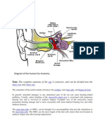 Affected Anatomy: Is Extensive, and Can Be Divided Into The and