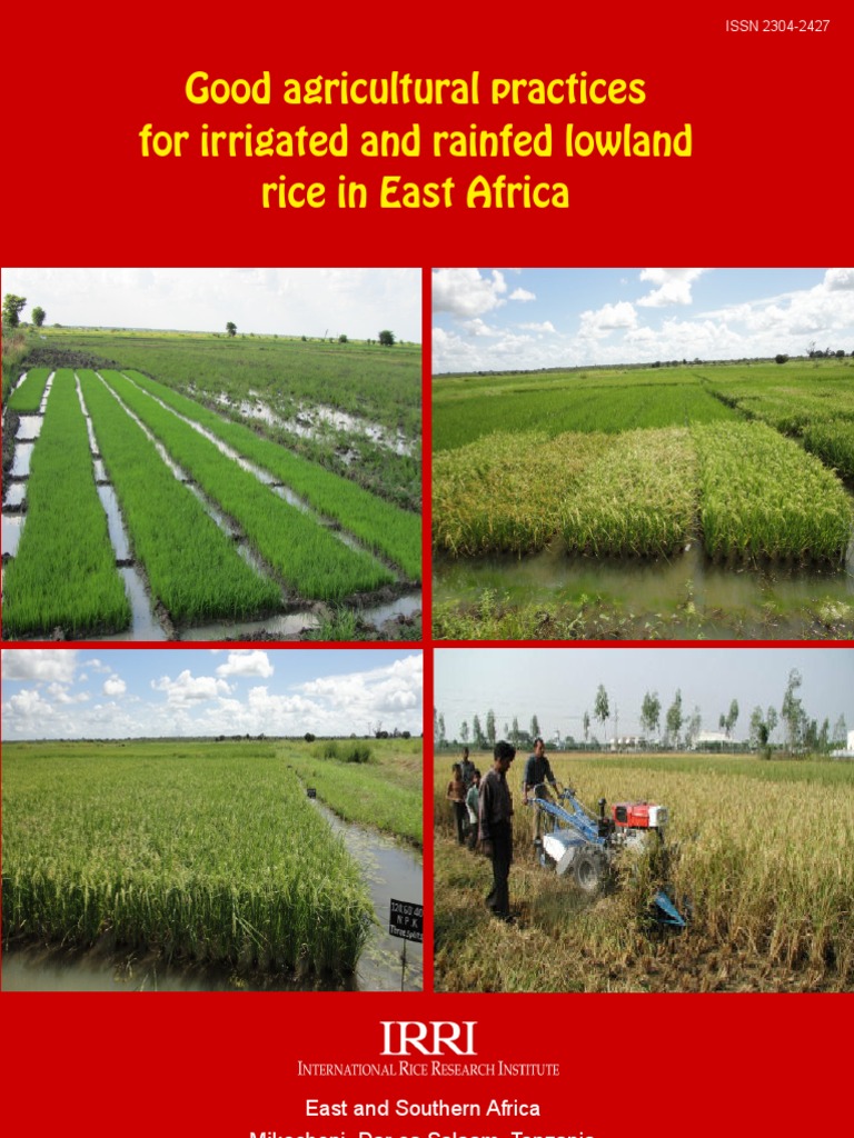 Good agricultural practices for irrigated and rainfed lowland rice in ...