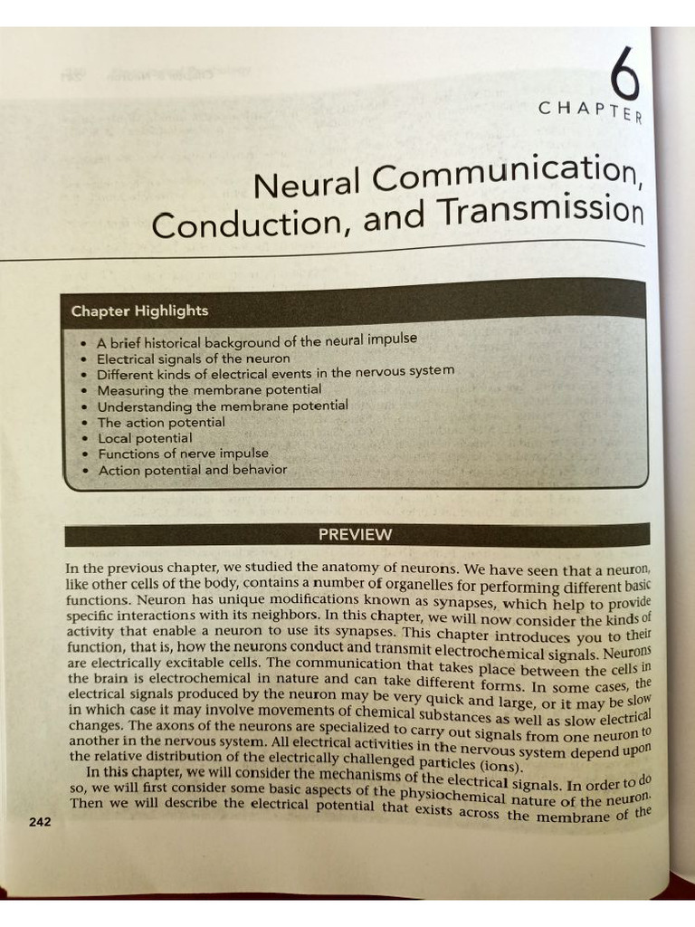Neural Communication | PDF