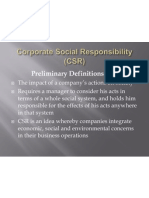 Preliminary Definitions of CSR